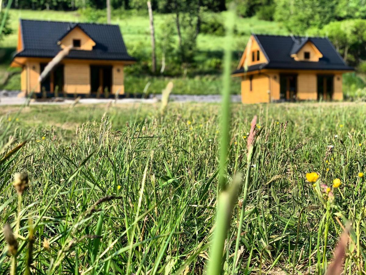 Domki Z Prywatna Sauna- Na Szlaku Milówka Zewnętrze zdjęcie
